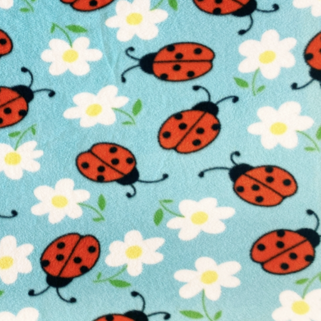 Lady Bugs Allover